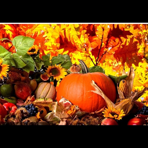 Meet your Posher, Sonia - Picture 1 of 1